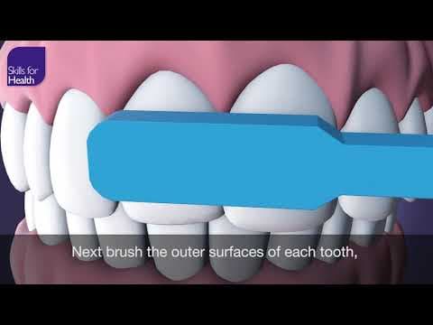 Oral Health & Hygiene Basics